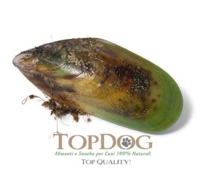 Cozze verdi in polvere per cani - immagine 3